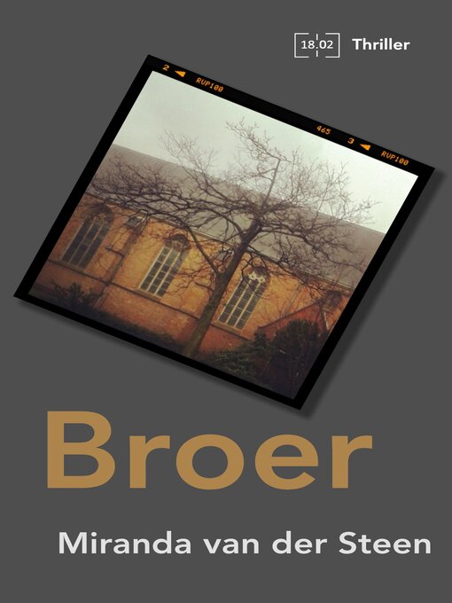 Title details for Broer by Miranda van der Steen - Available